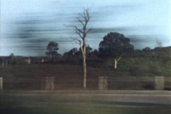 woodford