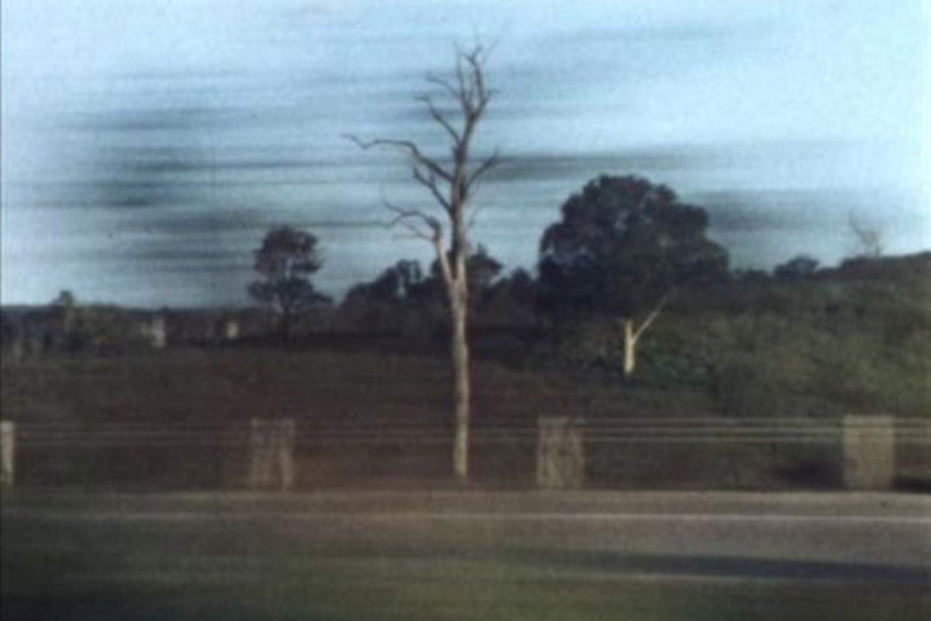 Woodford Folk Festival 2011 - 2012