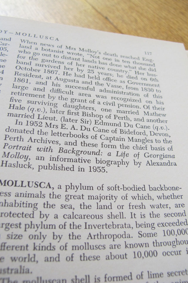 Old School Part 2 Books and Molluscs
